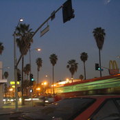 California (January 2009)