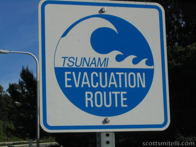 Tsunami. Tsunami?
