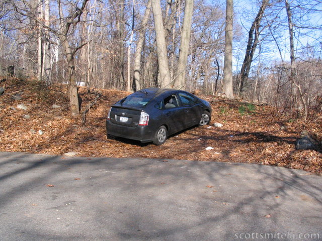 A new day, and another parking job on the leaves