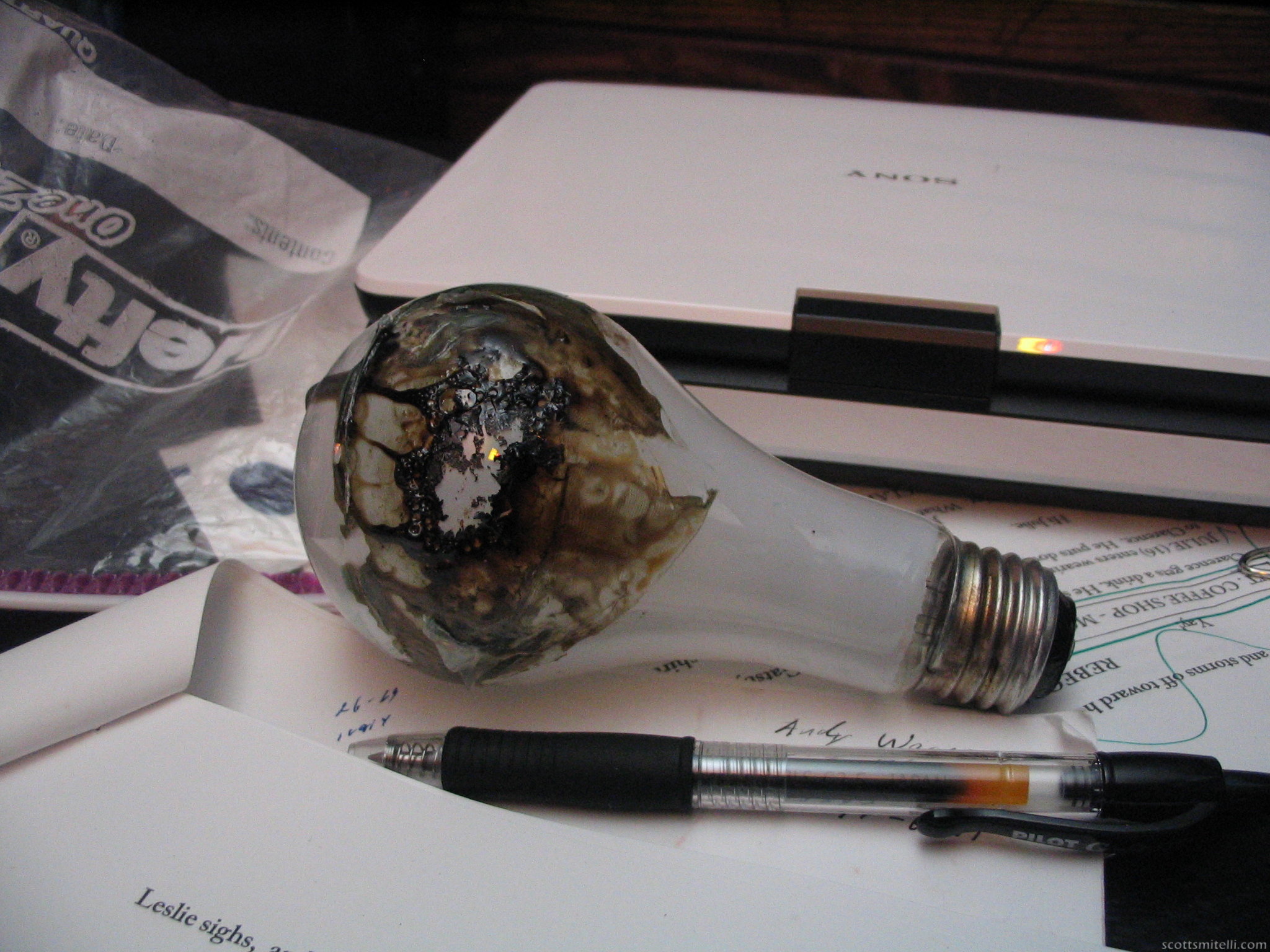 Best Bulb Ever