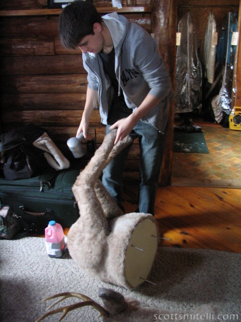 Blow drying a deer. Good way to end weekend #1.