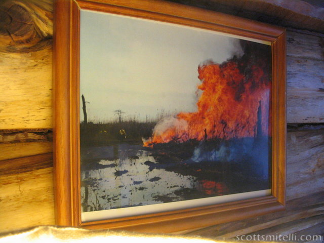 Why is there a framed picture of a forest fire hanging on the bedroom wall?