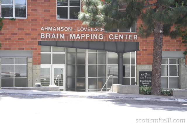 Oh good, we can get our brains mapped.
