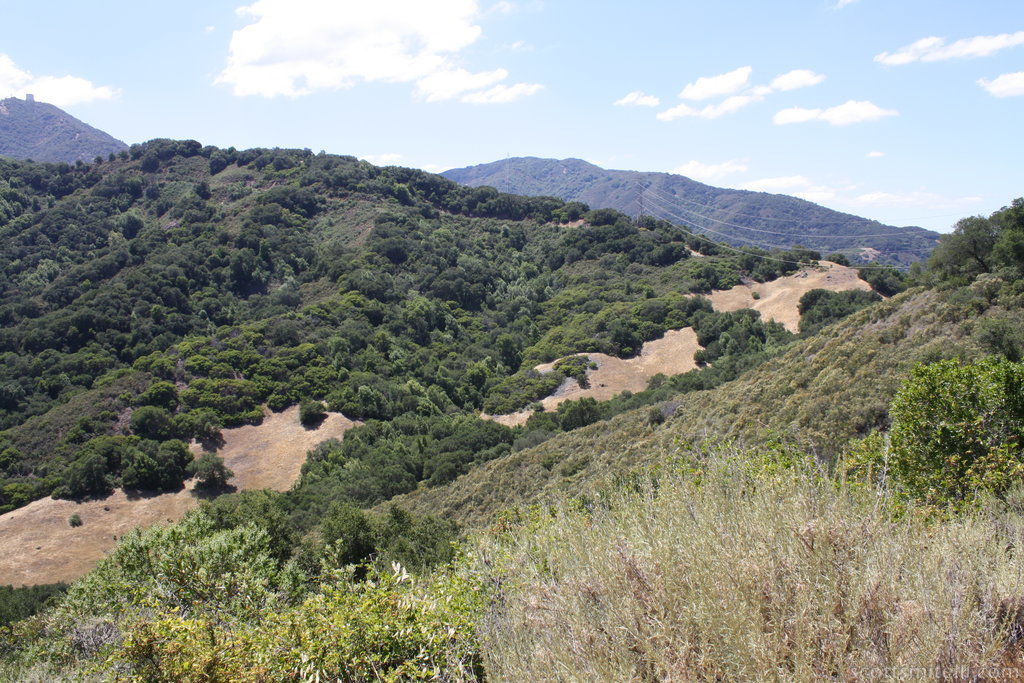 California Hills