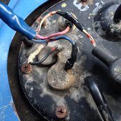 All the fuel pump wires had been clipped at one point. Maybe they took the tank out in a hurry.