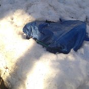 The 3E-E, buried in snow