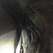 Rotting fuel lines