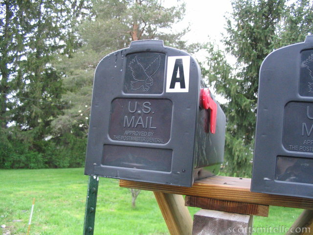 Drenched Mailbox