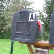 Drenched Mailbox