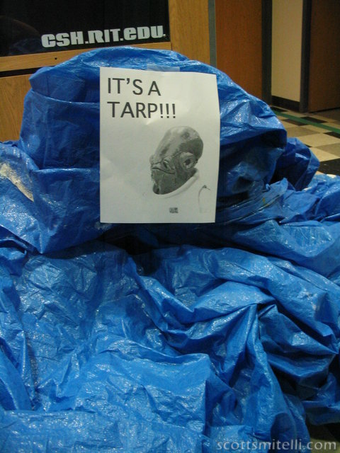 IT'S A TARP!